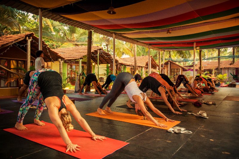 Embracing a Yogic Lifestyle: Five Paths to a Balanced Life
