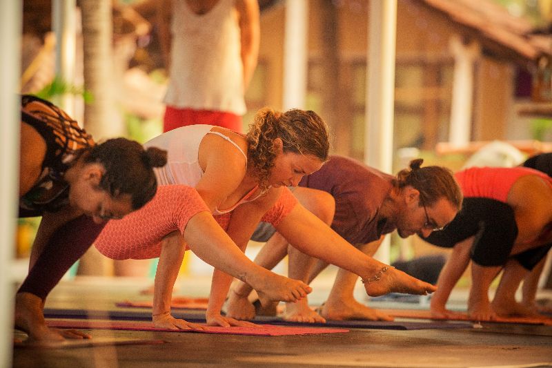 VINI YOGA: PERSONALIZED YOGA FOR HOLISTIC WELL-BEING AND MINDFUL LIVING